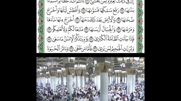 خواتيم سورة النازعات قراءة الشيخ صلاح البدير