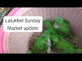 Lalukhet Sunday Market Big Birds Update (5 Jan 2026) | Grey Parrot & Kashmiri Raw Prices