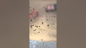 Action Potential Modeling Video - AP Biology