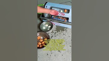 High-Speed Automatic Egg Peeling Machine