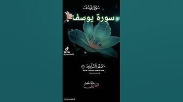 سورة يوسف خالد جليل #quran #اكسبلور #المصحف #حالات_واتس #الرحمن #لايك #دويتو #القزابري #duet