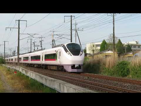 常磐線　E657系K19編成「東北DC」ラッピング　80M　特急ときわ80号 品川 行　岩間～友部　八幡下踏切　通過　2021.04.27