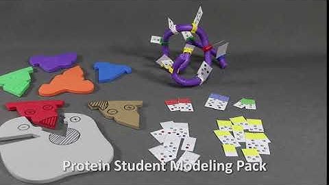 Protein Student Modeling Pack