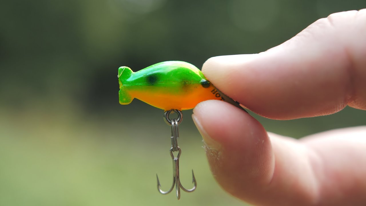 The SMALLEST Crankbait in the WORLD!!! 