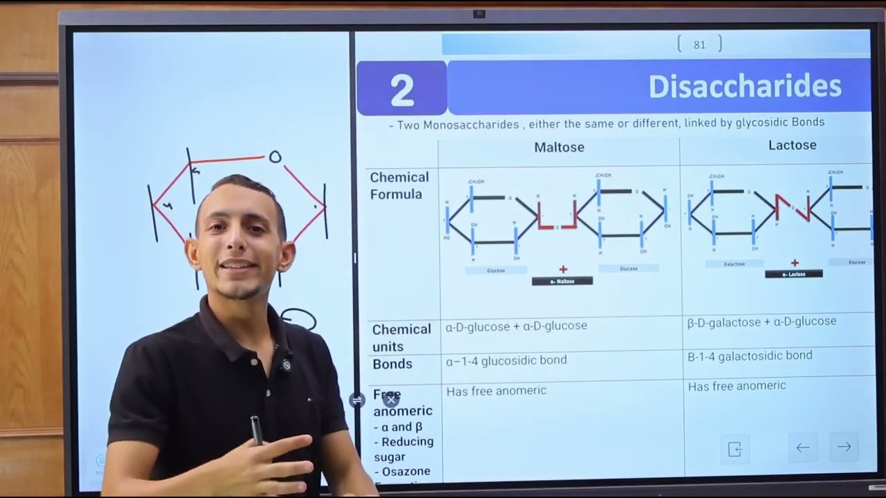 Disaccharides | CHO chemistry | Foundation module | Lecture 3 | Dr.Adham Saleh | Med Robot