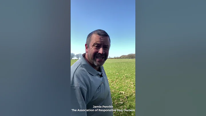 Jamie Penrith on dogs chasing, worrying or attacking livestock or other animals ...