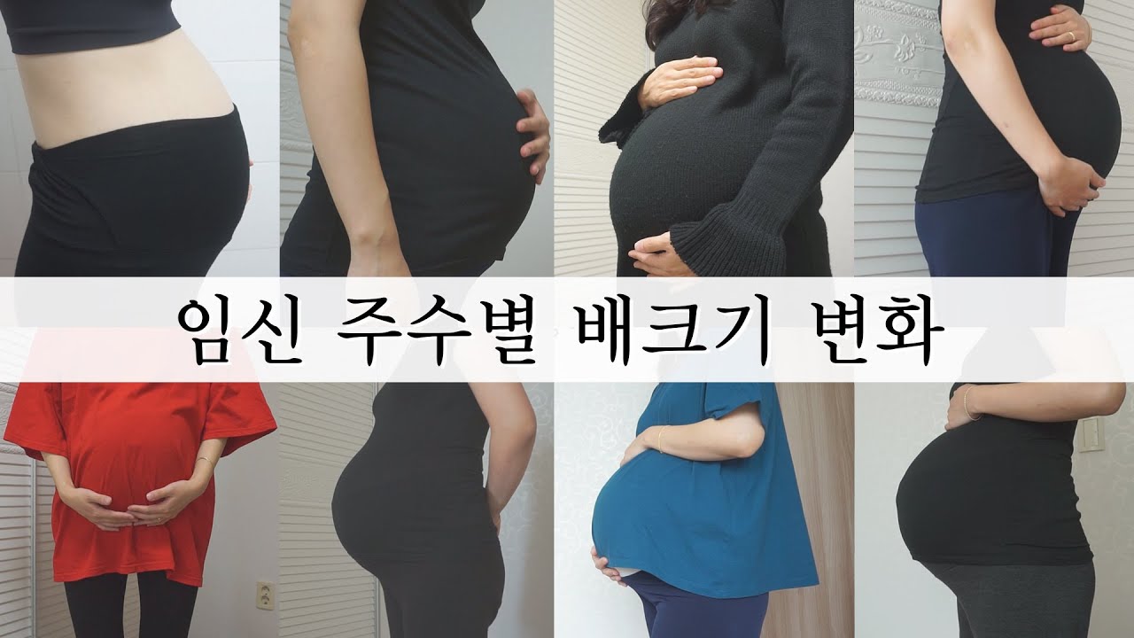 SUB [임신 주수별 배크기 변화] 초기부터 막달까지, My Pregnancy  Transformation Time Lapse