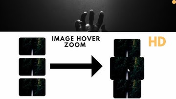 image hover zoom in transform effect with html and css|| Transform Effects Tutorial