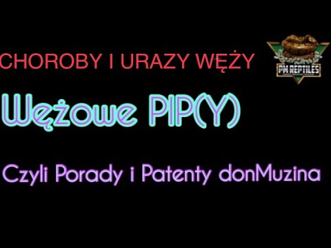 Wideo: Choroby Grzybicze U Gadów I Węży