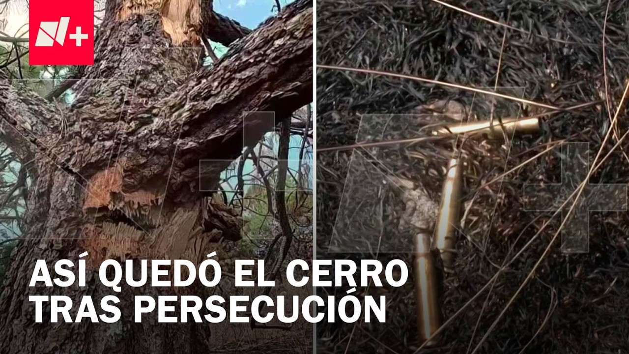 Caída de 'El Mencho': Así Quedó Cerro tras Balacera, con Árboles Derribados y Casquillos Calibre 50