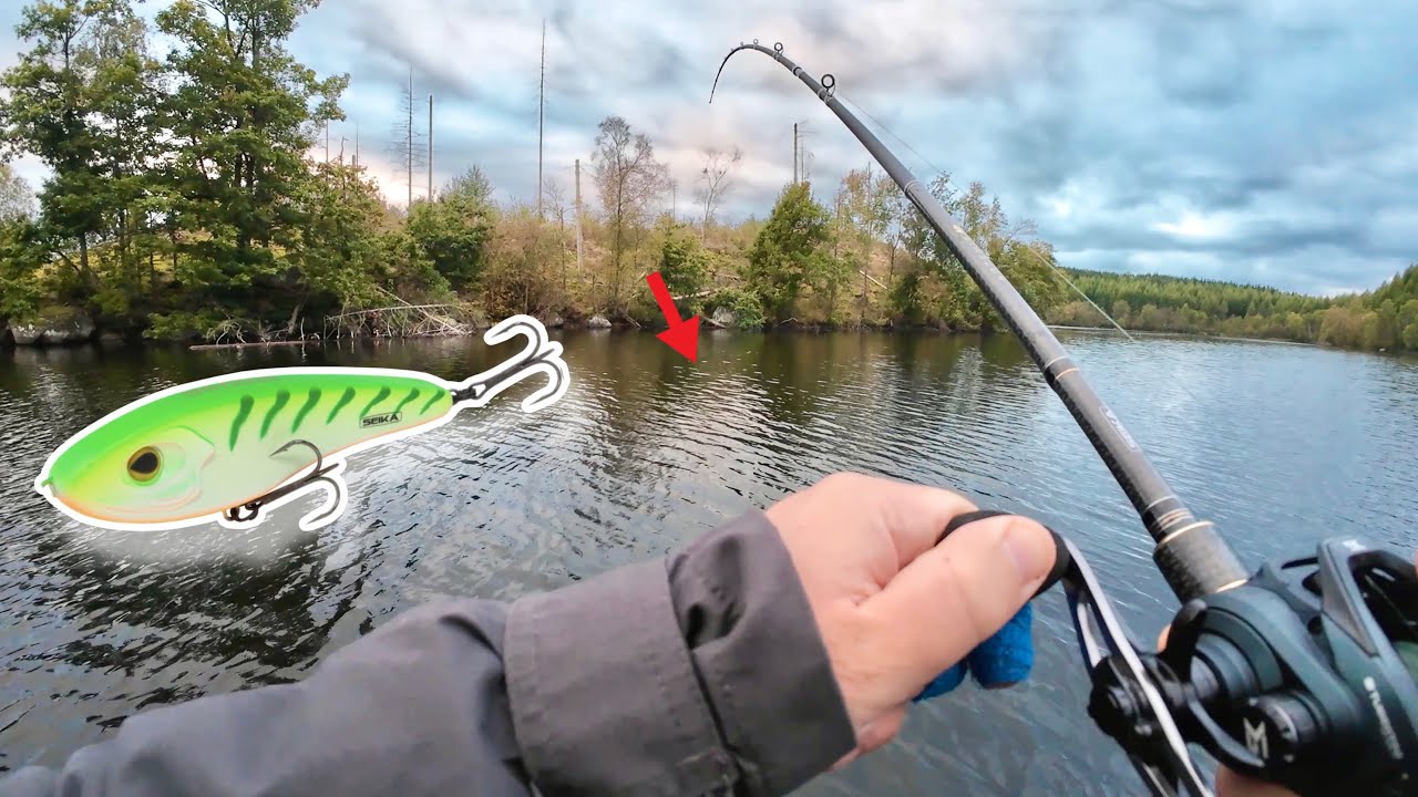 Hart im Herbst. Das halten Hechte nicht aus.