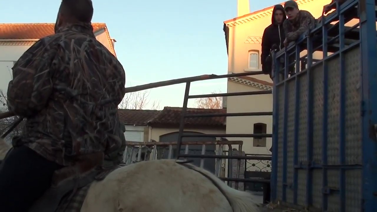 entrainement abrivade caissargue manade labourayre 08/01/2017.