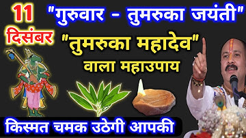 11 दिसंबर गुरुवार तुमरुका जयंती उपाय | तुमरुका महादेव वाला महाउपाय | pradeep mishra guruwar ke upay