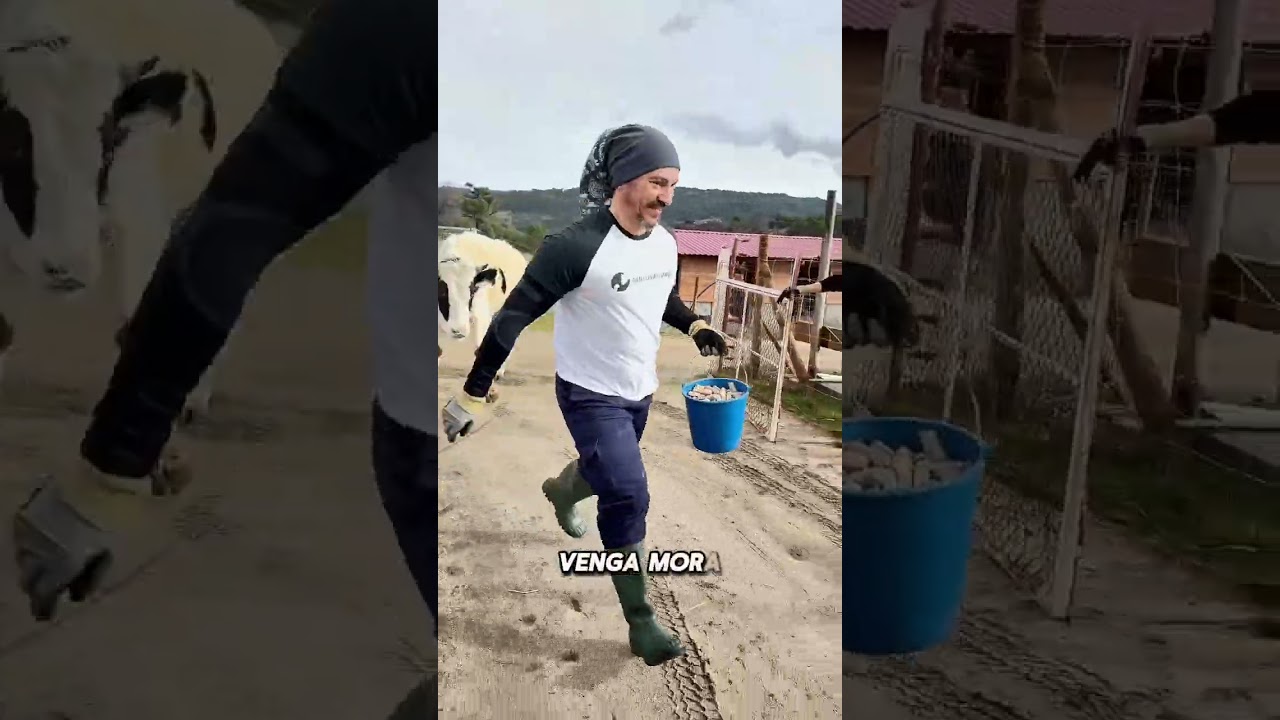 Mora y Piñón se van a los prados 