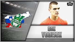 Rok Vodisek | Best Saves | NK Olimpija Ljubljana - 2016/2017 Review HD