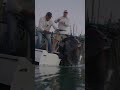 Where are you #fishing this weekend? #fishingislife #fishingboat #shortsfeed #shorts #shortvideo