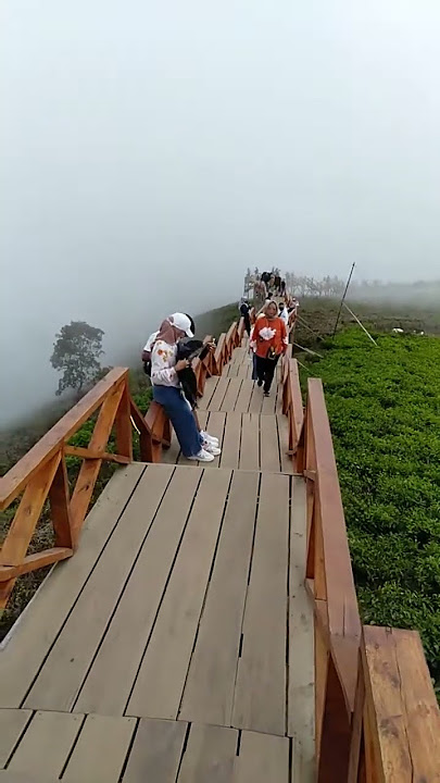 Story' wa ig Taman langit Pangalengan bandung