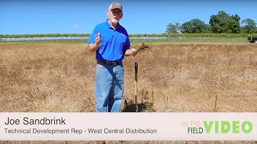Marestail Management Follow Up with Joe Sandbrink - In The Field Episode 27