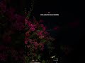 Mynaa Mynaa Nenju Kulla Song WhatsApp Status Tamil~💜!!! #whatsappstatus #tamillovesong #trendingsong