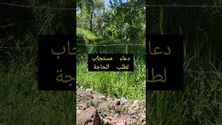 دعاء طلب الحاجة من انسان(مستجاب)