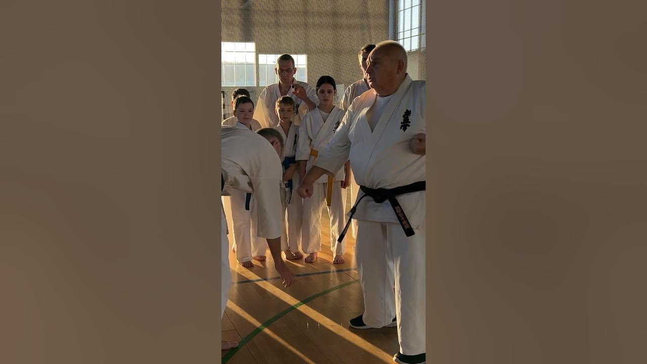 Сейкен мае гедан Барай