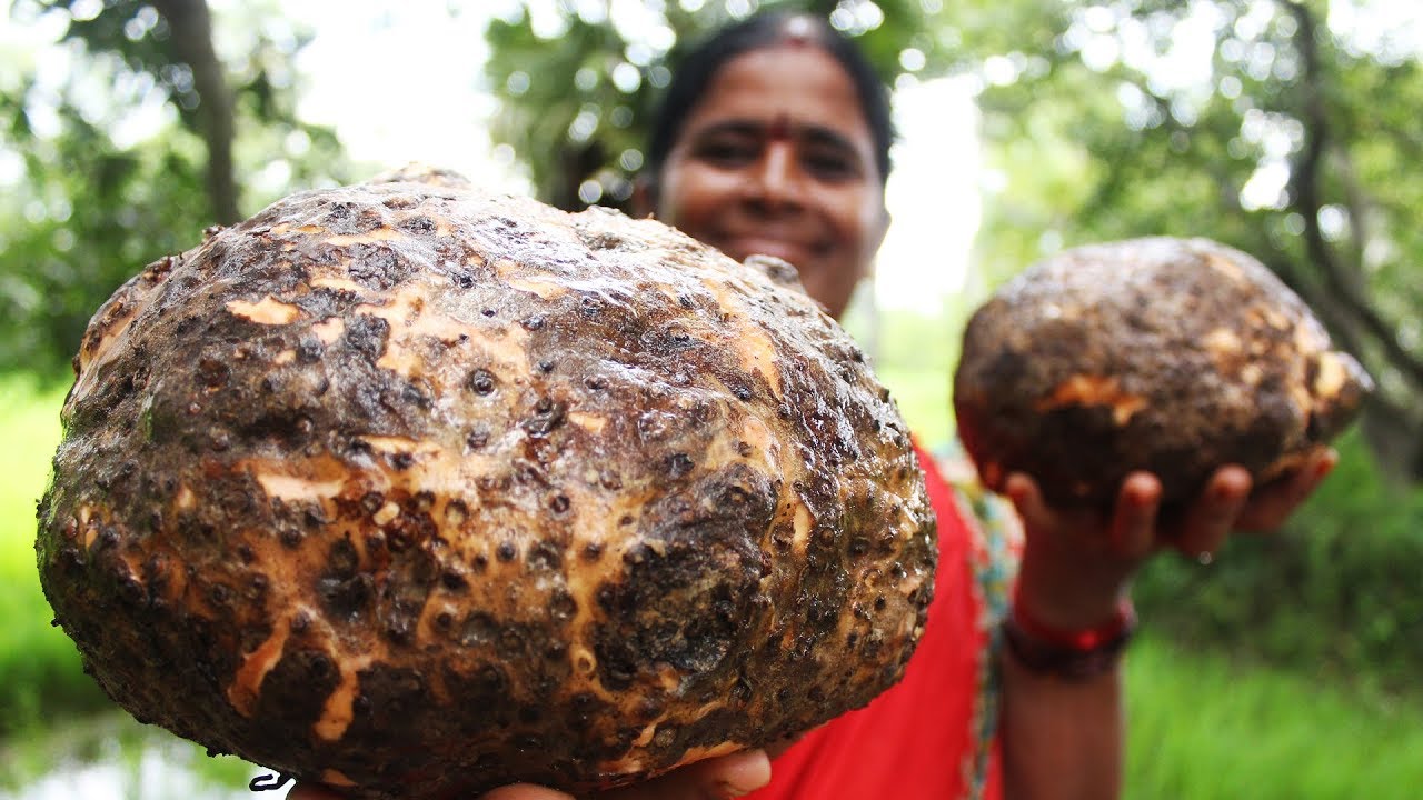 Cooking Yam Curry Recipe || Elephant Foot Curry || Myna Street Food