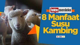 8 Manfaat susu Kambing yang wajib kamu ketahui