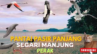 Pantai Pasir Panjang | Where Sea Meets Endless Sand😻