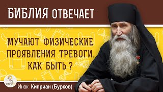 Мучают физические проявления тревоги. Как быть ? Инок Киприан (Бурков)