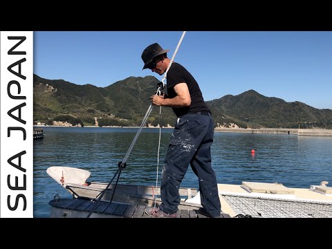How To Long Bury Splice and New Dyneema Rigging. : Part One.