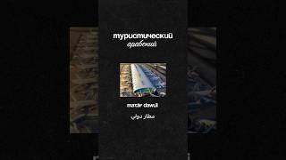 Учим арабский легко и без страха