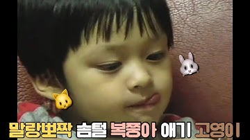 스트레이키즈 리노 아기 고양이 시절🐱