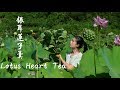 秋天到了，蓮子長芯了，剛好做成自己喜歡的蓮子羹和蓮心茶 Lotus Plumule Tea