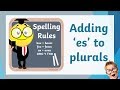 Spelling Rules and Plurals Quiz