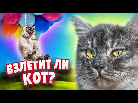 Видео: ПОЛЕТ КОТА А5 НА ВОЗДУШНЫХ ШАРИКАХ!