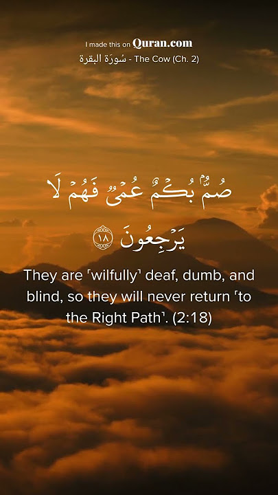 Surah Al-Baqarah 2:17-19 Beautiful Quran Recitation ❤ Mishary Rashid Alafasy #quran #islam #deen