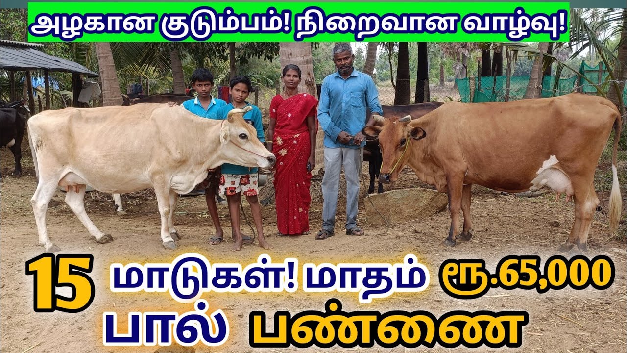 சிறிய பண்ணை பெரிய லாபம் | பசு மாடு வளர்ப்பில் மாதம் ரூ.65,000 லாபம் |  பால் பண்ணையில் 5 வருட வெற்றி