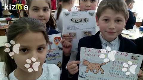 Kizoa Movie - Video - Slideshow Maker: identity card