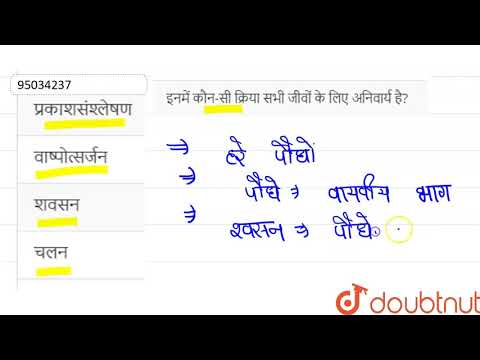 वीडियो: हाइपरटोनिक के उत्पादन के लिए कौन सी वृक्क संरचना जिम्मेदार है?