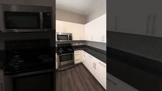 A 313- Hamiliton Studio