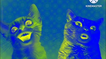 Preview 2 Numa Cat Effects (Inspired By Preview 2 Effects)