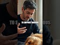 Paws in Practice Everyday Wellness