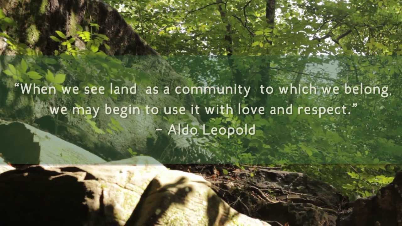 ATHENS LAND TRUST YouTube