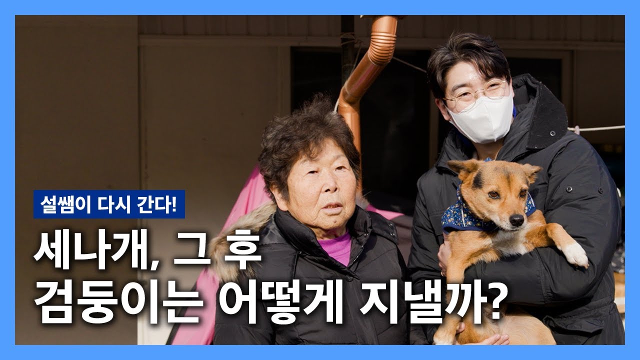 설쌤이 다시 간다! 검둥이는 어떻게 지낼까? '검둥이'편 | 설채현 행동학 수의사