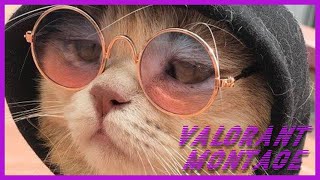 Sigma Boy Valorant Montage