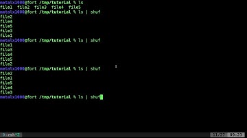 Shuffling Files Linux Shell Tutorial