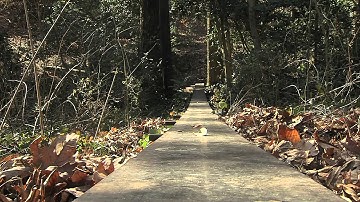 Emory History Minute: Source Route