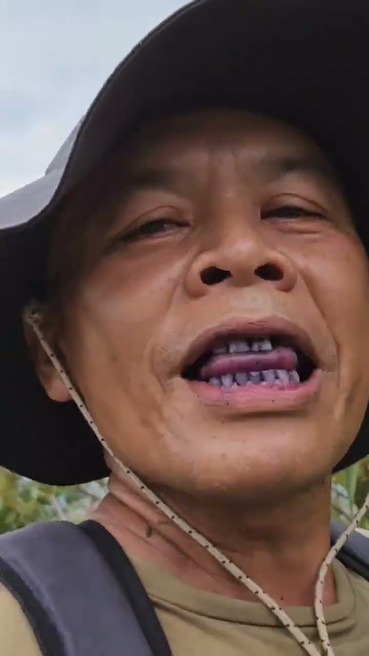 CERITA  BUAH HARENDONG