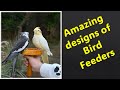 Feathered feast exploring the world of bird feeders  birdfeedrs birdfood birdslover