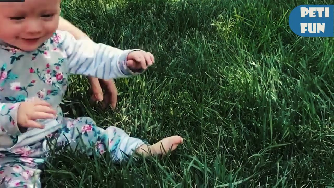 BEST Viral Videos of Animals 😯 🤣 Unhinged Pet Vines 2024 